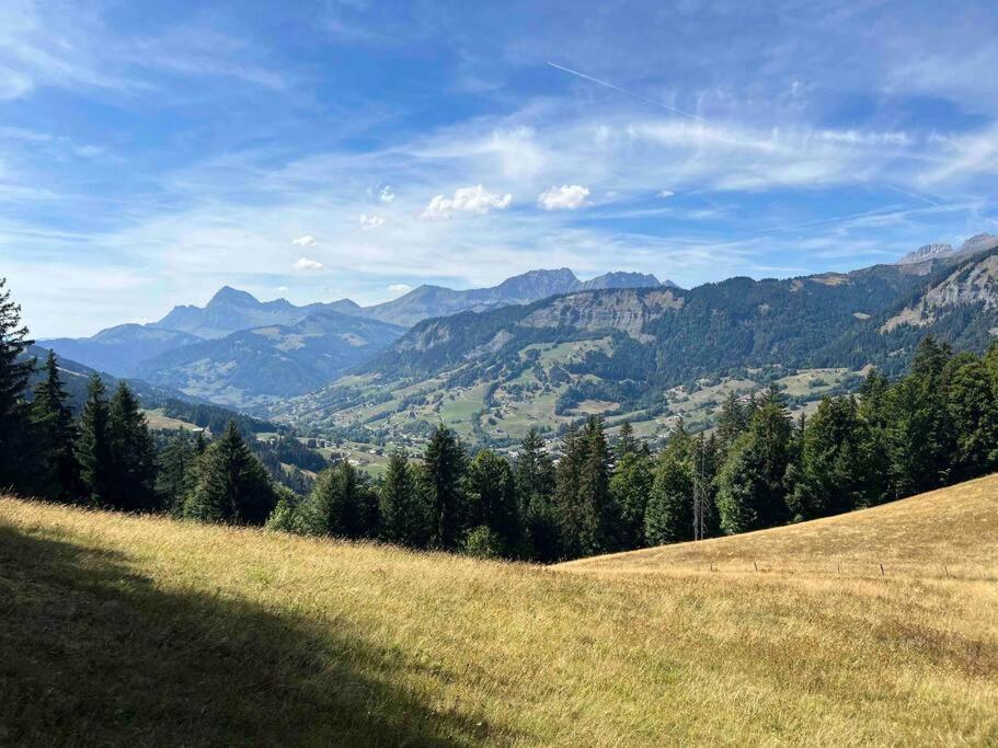 Appartement Praz Sur Arly - Proche Des Pistes Et De Megeve Extérieur photo